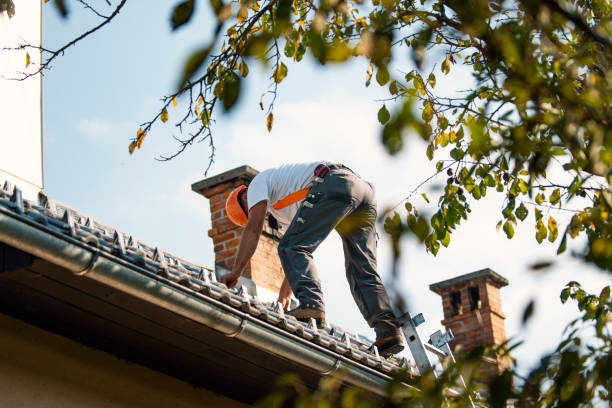 Quick and Trustworthy Emergency Roof Repair Services in West Homestead, PA